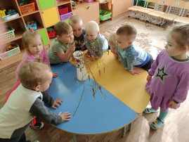Учимся наблюдать за объектами природы Учимся наблюдать за объектами природы.